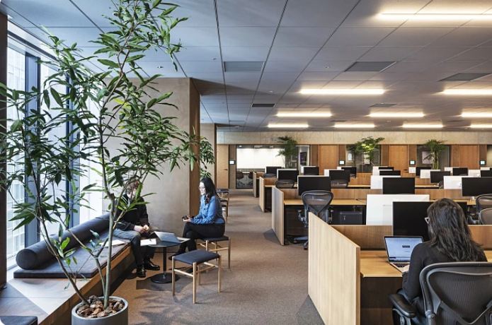 Xueyu Technology Global Network